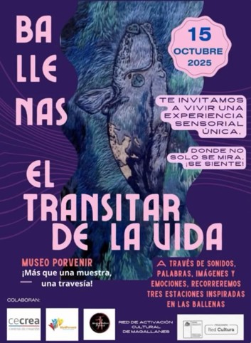 Recorrido sensorial con ballenas llega al Museo de Porvenir