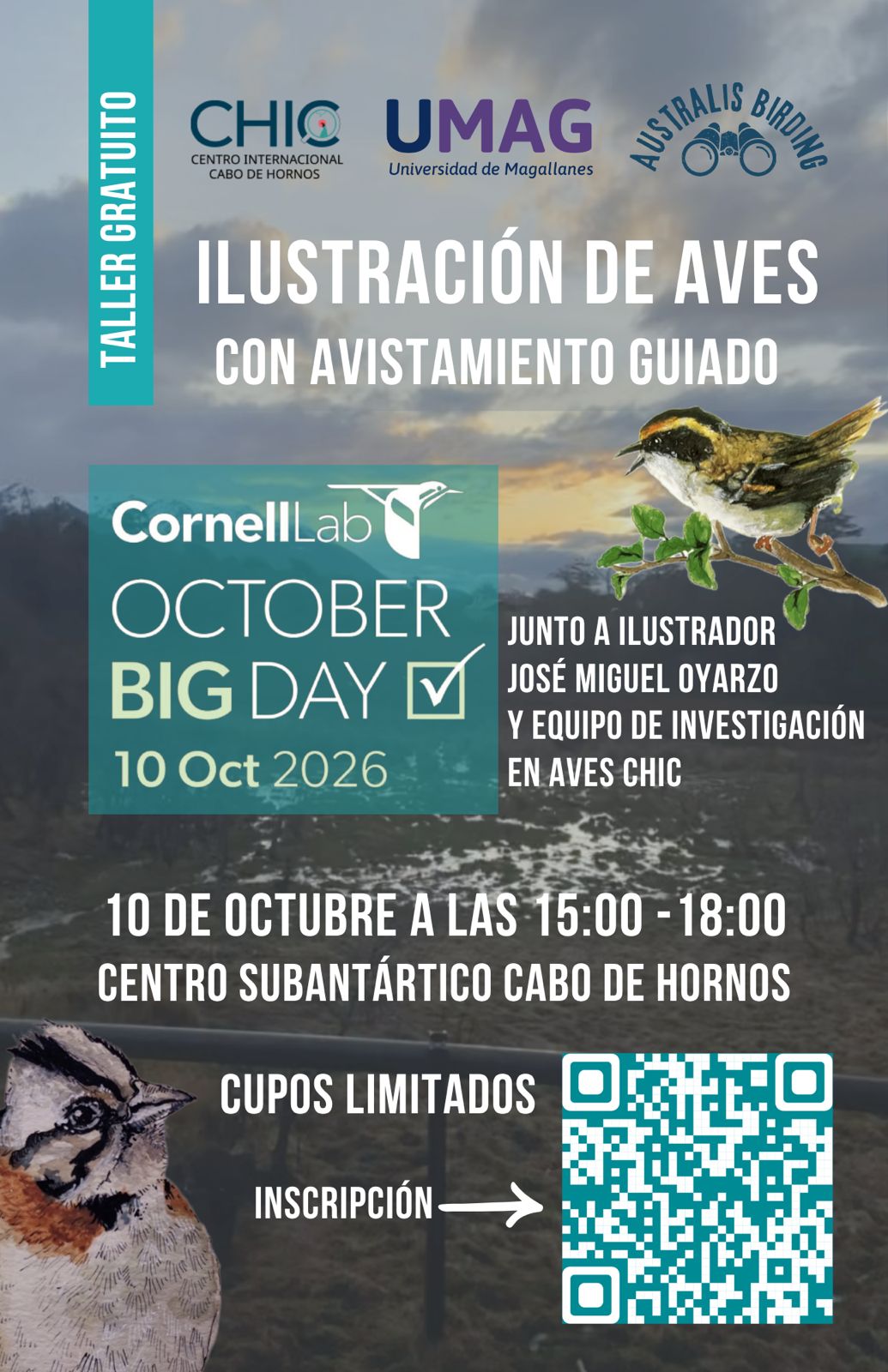 Lápiz, binoculares y viento austral: Puerto Williams se suma al October Big Day con un taller gratuito de ilustración de aves